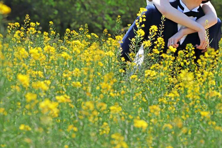 【バツイチ、シンママ、シンパパ向け】おすすめの婚活アプリやおすすめ理由を解説！2